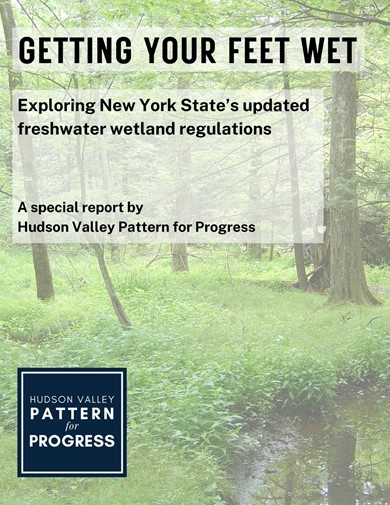 Pattern for Progress Report Lays Out the Benefits, Challenges to NYS Wetlands Regulatory Changes